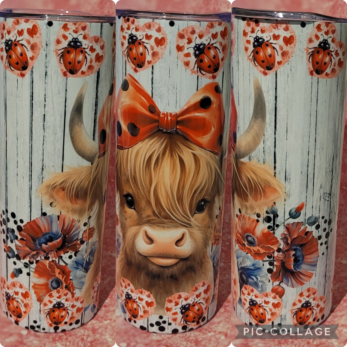 C183 Ladybug Highland Cow 20oz Tumbler