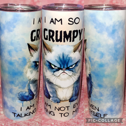 S110 I Am So Grumpy I'm Not Even Talking To Myself 20oz Tumbler