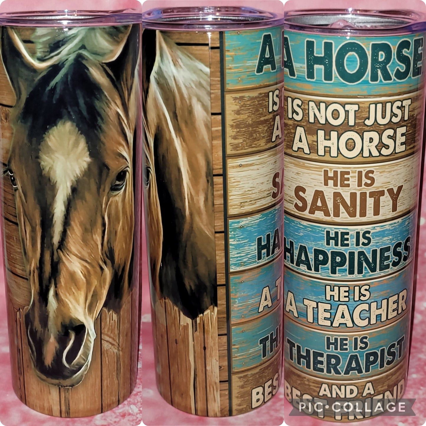 C3 A Horse Is Not Just A Horse 20oz Tumbler